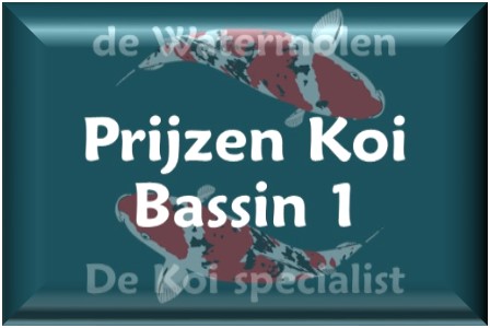 Afbeelding1