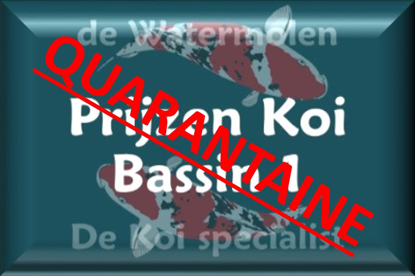 Bak 1