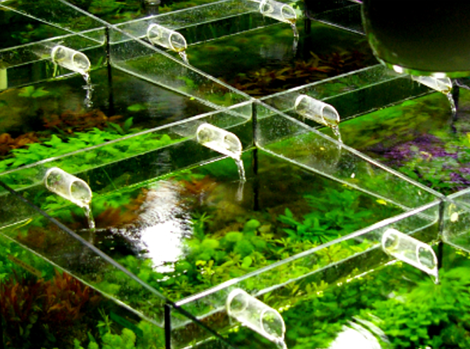 Plantentafel
